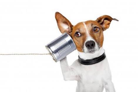 NOTICE: OUR PHONES AND INTERNET ARE CURRENTLY OUT OF ORDER.